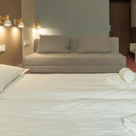 Hotel тиса-закарпаття 365 Bushtyno